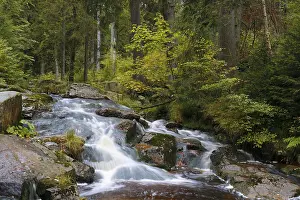Saxony Anhalt Germany Landscape Prints: Waterfall of a low mountain stream