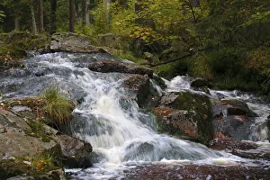 Nature Reserves In Eastern Germany Prints: Waterfall of a low mountain stream