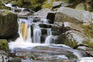 Harz National Park Prints: Waterfall of a low mountain stream
