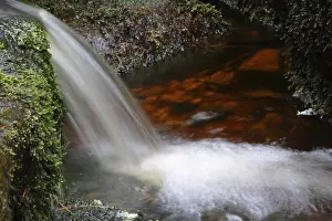 Harz National Park Prints: Waterfall of a low mountain stream