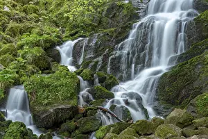 Deserted Mountain Scenery Prints: Waterfall in a mountain forest in springtime
