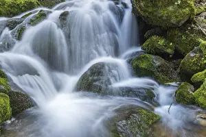 Mountain Stream France Prints: Waterfall on a mountain stream in spring