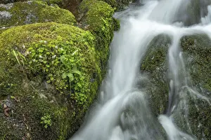 Mountain Stream France Prints: Waterfall on a mountain stream in spring