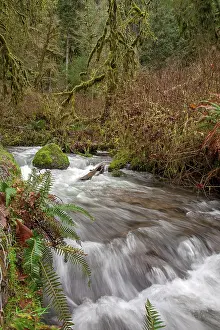American Nature Photography Prints: Waterfall in Oregon