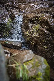 Black Forest Waterfall Prints: Waterfall of a small stream in the forest