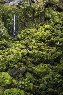 Landscape Photography Europe Prints: Waterfall, Source du Lison, Source des Lison