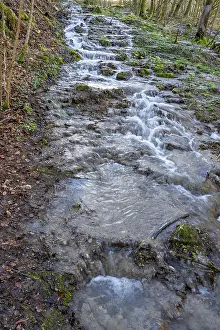 Uninhabited German Waterfalls Prints: Waterfall of a stream in spring