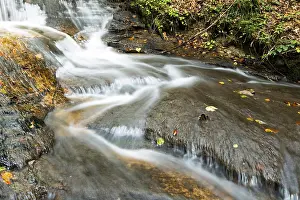 Waterfall In Baden Wurttemberg Prints: Waterfall at Struempfelbach stream