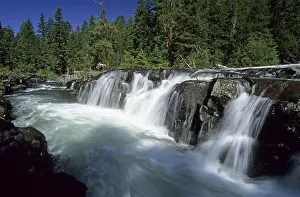 Coniferous Forest Landscape Prints: Waterfall on the upper Rogue River