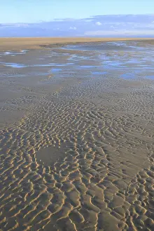 German Coastal Area Photography Prints: Wave-like patterns in sand at low tide