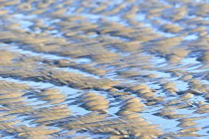 Full Frame Coastal Photo Prints: Wave-like structures (ripple) in the sand in the evening light