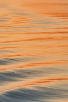 Brahmaputra River Sunset Prints: Wave pattern on the Brahmaputra river at sunset