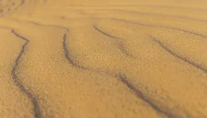 Wavy Sand Pattern Prints: Wave pattern in sand dune, Sandfly Bay