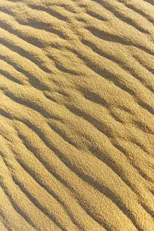 Wavy Sand Structure Namibia Prints: Wave pattern in the sand, Namib Desert, Namibia