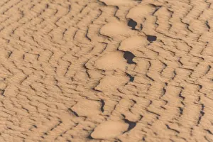 Wave Pattern In Sand Prints: Wave pattern in the sand, Sossusvlei