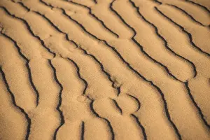Namibia Desert Landscape Prints: Wave pattern in the sand, Sossusvlei