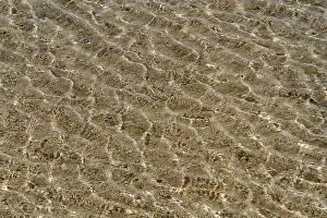Wavy Structure Design Prints: Wave pattern in shallow water, beach