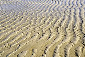 Low Tide North Sea Coast Prints: Wave structure in the sand at low tide