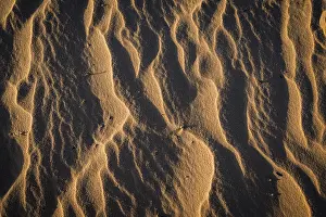 Textured Sandy Surface Prints: Wave structures in the bright sandy beach