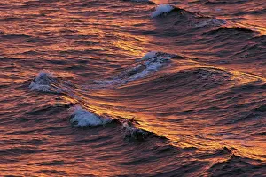 Northern Europe Water Surface Prints: Waves in the evening light, Arctic Ocean