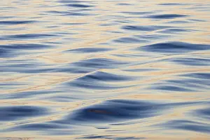 Deserted Arctic Coastline Prints: Waves in the evening light, sea