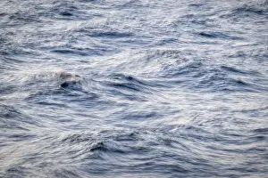 Blurred Wave Motion Prints: Waves, smudge effect, long exposure