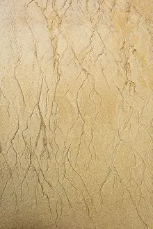 Abel Tasman National Park Prints: Wavy pattern due to water current in the sand