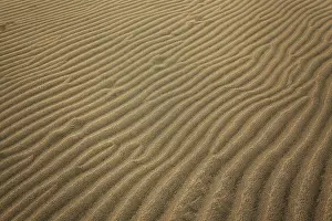 Wavy Sand Patterns Prints: Wavy structures in the sand, dunes of Maspalomas