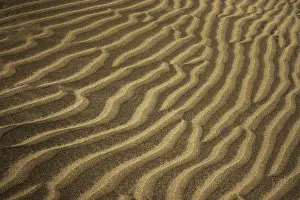 Canary Islands Desert Landscape Prints: Wavy structures in the sand, dunes of Maspalomas