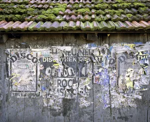 Overgrown With Moss Prints: Weathered posters on a barn