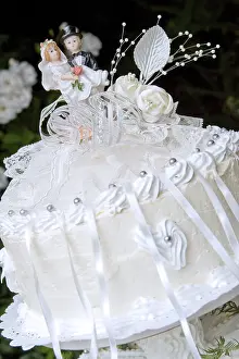 Empty Plate Photoshoots Prints: Wedding cake