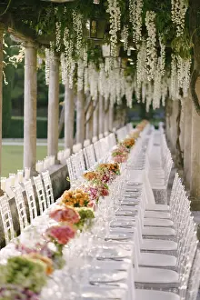 Chiavari Prints: Wedding Dinner Table Reception Print under Wisteria Columns