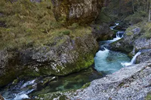 Mountain Creek Germany Prints: WeiBbach flows through gorge