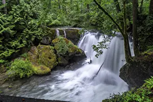 Washington State Landscapes Prints: Whatcom Falls, Whatcom Falls Park