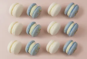 Plain Colored Background Food Prints: White and blue macaroons on the table