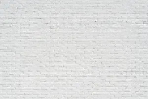 Red Brick Wall Prints: White brick wall
