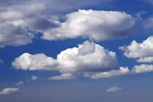 Daytime Cloudy Atmosphere Prints: White clouds in blue sky