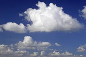 Blue Sky Clouds Prints: White clouds at blue sky