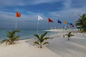 Union Territory Beaches Prints: White sand beach with many flags