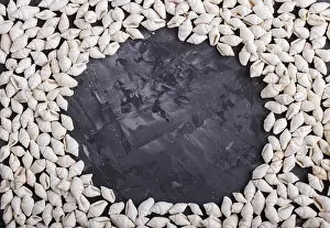 Tropical Decorative Item Prints: White small seashells frame pattern on a black concrete background