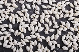 Tropical Decoration Ideas Prints: White small seashells pattern on a black concrete background
