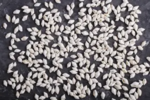 Flat Lay Design Prints: White small seashells pattern on a black concrete background
