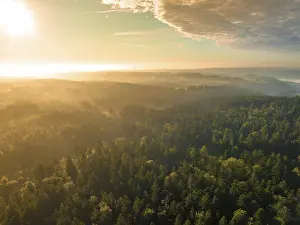 Baden Wurttemberg Countryside Prints: Wide view over forests at sunset
