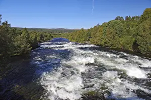 Norway River Prints: Wild flowing river lined with trees