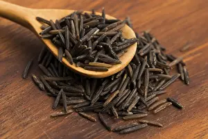 Plain Colored Background Photos Prints: Wild rice