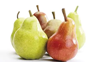 Studio Shot Pears Prints: Williams- or Bartlett Pears