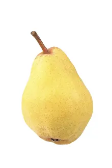 Single Object Studio Photo Prints: Williams pear