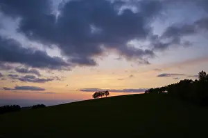 Black Forest Sunset Prints: Wind beeches at sunset with cloudy sky in spring