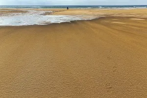 Icelandic Coastal Area Prints: Wind blowing over structures in the sand