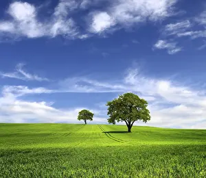 Deserted Farming Scene Prints: Wind of change